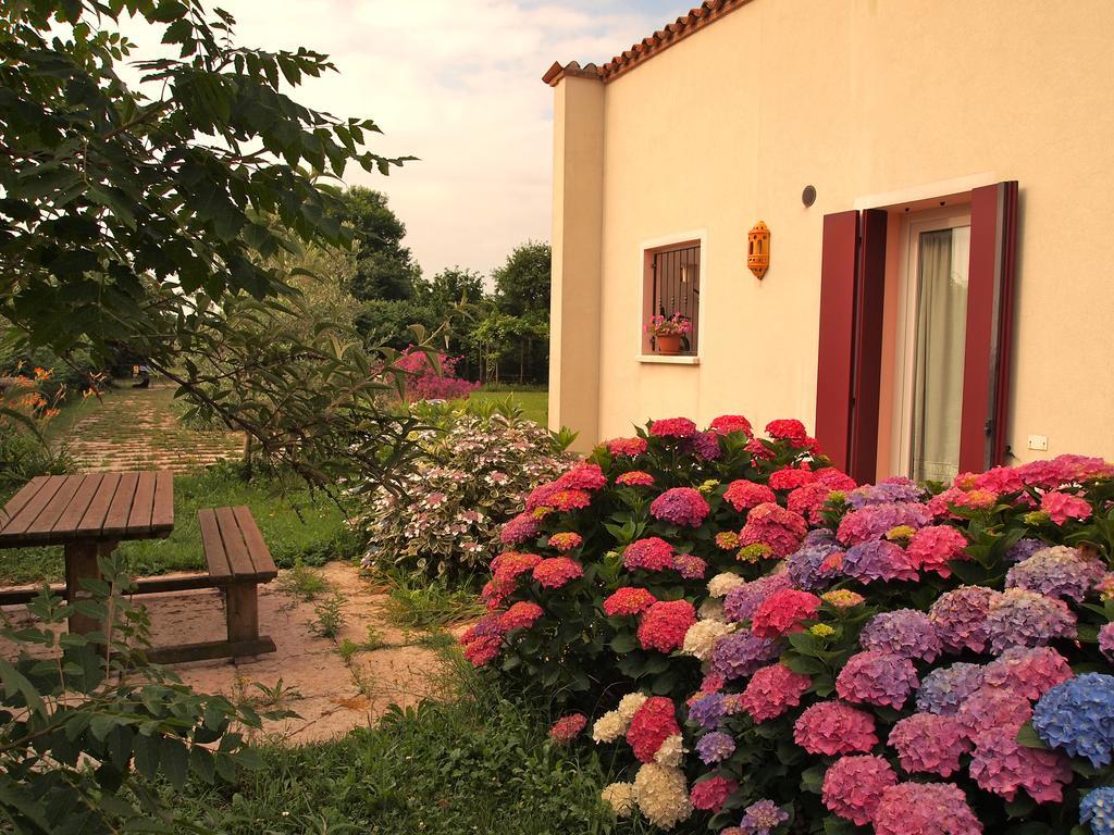 Agriturismo Il Magicorto Cassola Habitación foto