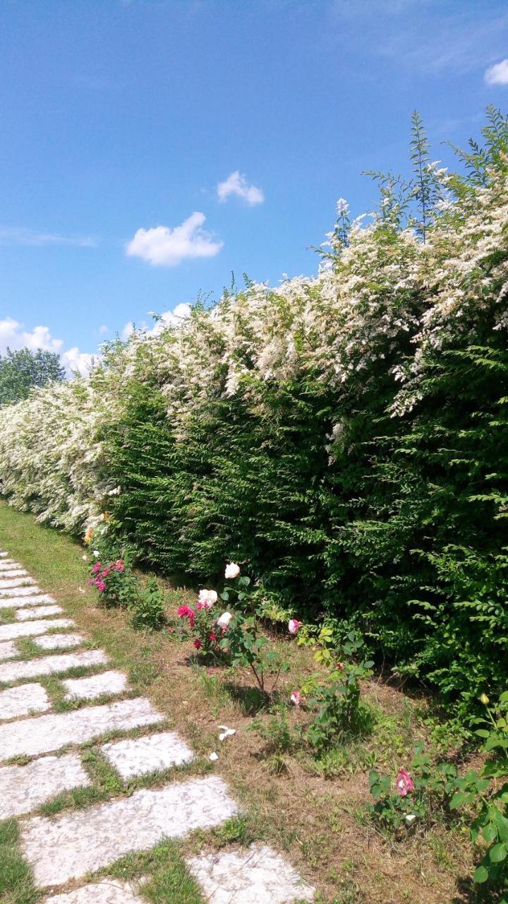 Agriturismo Il Magicorto Cassola Exterior foto